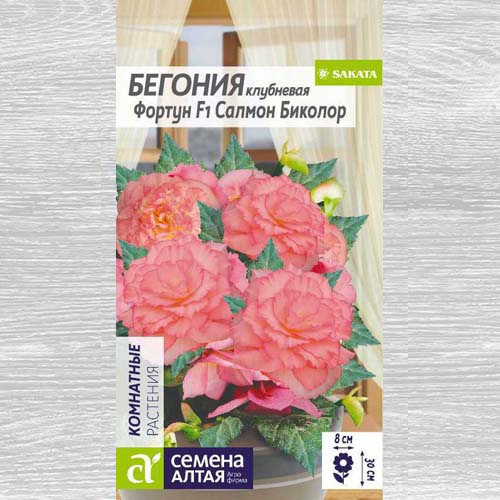 Бегония Фортун Салмон Биколор F1 артикул фото 1 Бегония Фортун Салмон Биколор F1 изображение 1 артикул 78282