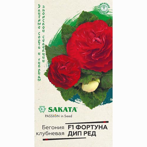 Бегония клубневая Фортуна Дип Ред F1 Гавриш изображение 1 артикул 71140