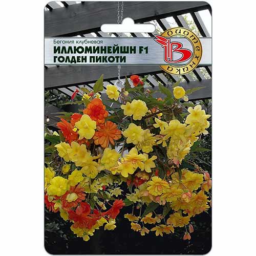 Бегония клубневая Иллюминейшн Голден Пикоти F1 Биотехника изображение 1 артикул 84614