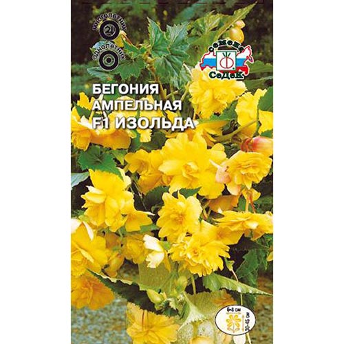 Бегония Изольда F1, семена изображение 1 артикул 93674