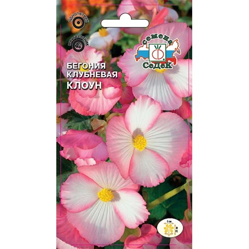 Бегония Клоун, семена изображение 1 артикул 93675