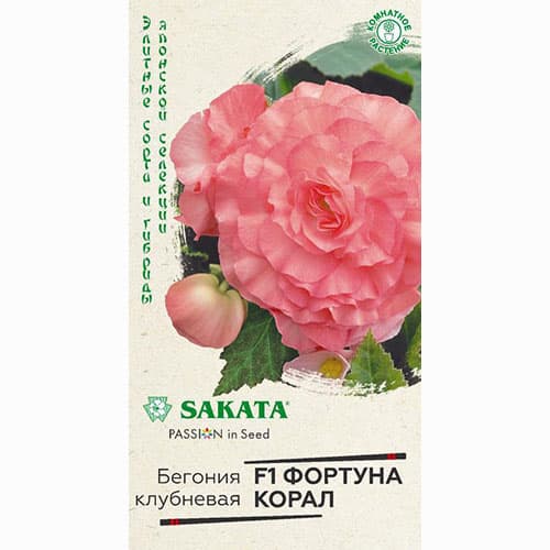 Бегония клубневая Фортуна Корал F1 Гавриш изображение 1 артикул 65941