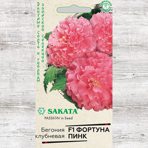 Бегония Фортуна Пинк F1 Гавриш изображение 1 артикул 65942