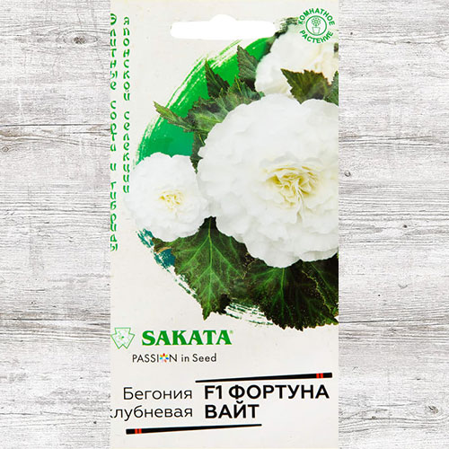 Бегония Фортуна Вайт F1 Гавриш изображение 1 артикул 66030