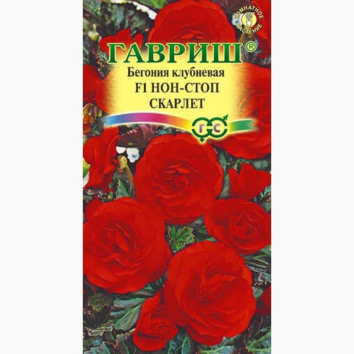 Бегония клубневая Нон-стоп Скарлет F1 Гавриш изображение 1 артикул 97622