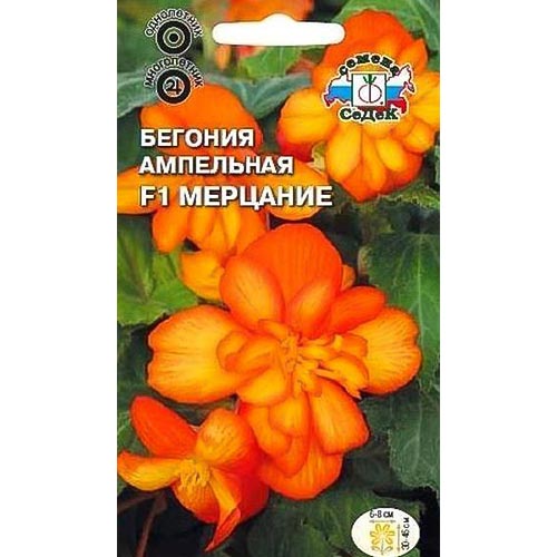 Бегония Мерцание F1, семена изображение 1 артикул 93676