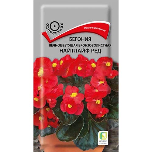Бегония Найтлайф Ред, семена изображение 1 артикул 92911
