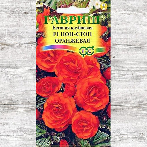 Бегония Нон-стоп оранжевая F1 Гавриш изображение 1 артикул 71138