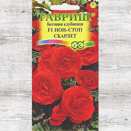 Бегония Нон-стоп Скарлет F1 Гавриш артикул фото 1 Бегония Нон-стоп Скарлет F1 Гавриш изображение 1 артикул 71139