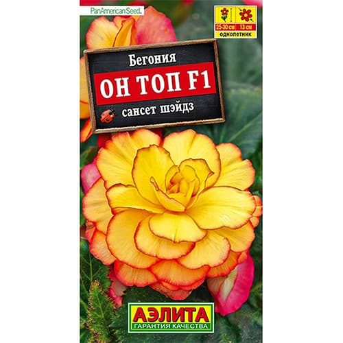 Бегония Он Топ сансет шэйдз F1 Аэлита изображение 1 артикул 98892