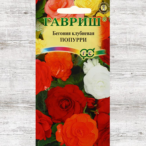 Бегония Попурри, смесь окрасок Гавриш изображение 1 артикул 82334
