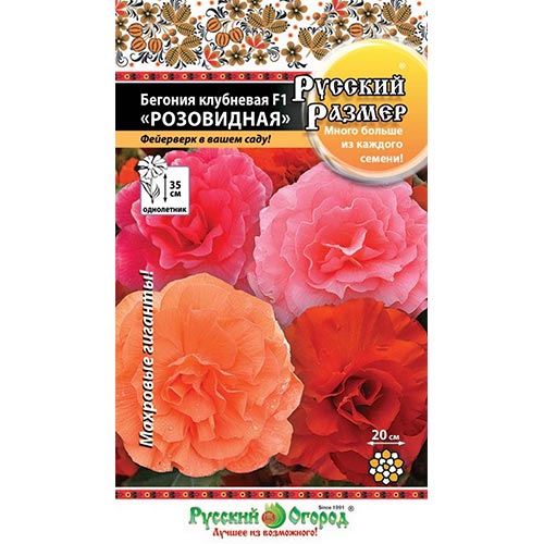 Бегония Русский Размер Розовидная F1, смесь окрасок изображение 1 артикул 92469