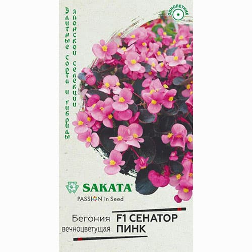 Бегония вечноцветущая Сенатор Пинк F1 Гавриш изображение 1 артикул 91974