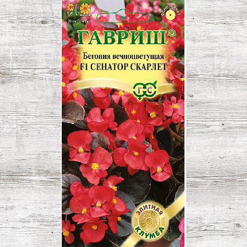 Бегония Сенатор Скарлет F1 Гавриш артикул фото 1 Бегония Сенатор Скарлет F1 Гавриш изображение 1 артикул 71134