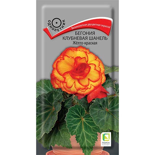 Бегония Шанель Желто-красная, семена изображение 1 артикул 92914