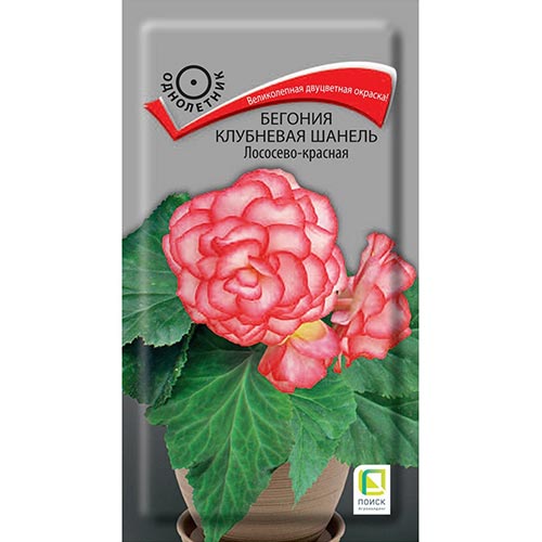 Бегония Шанель Лососево-красная, семена изображение 1 артикул 92916