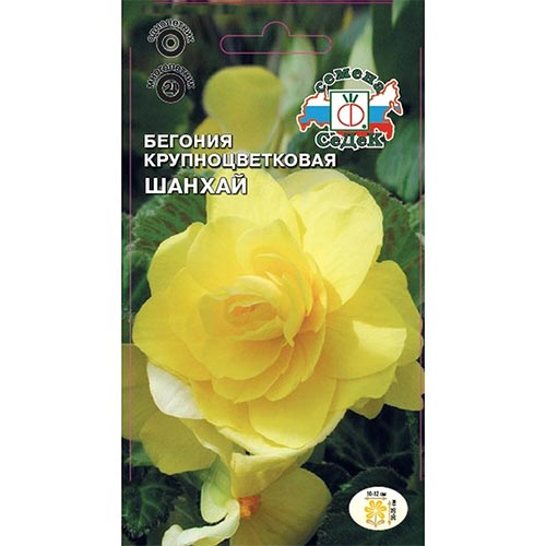 Бегония Шанхай, семена изображение 1 артикул 93678