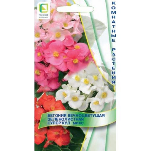 Бегония Супер Кул, смесь окрасок изображение 1 артикул 92913