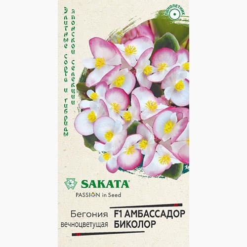Бегония вечноцветущая Амбассадор Биколор F1 Гавриш изображение 1 артикул 97608