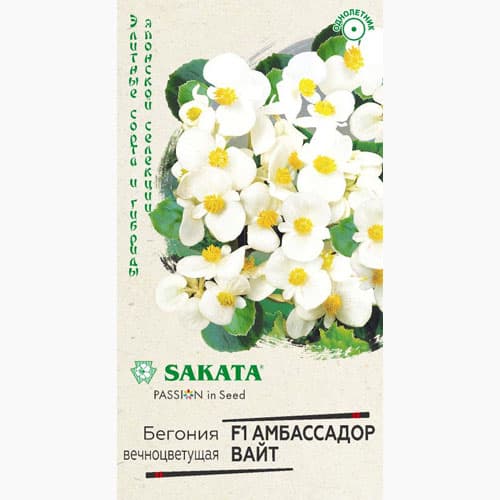 Бегония вечноцветущая Амбассадор Вайт F1 Гавриш изображение 1 артикул 97609