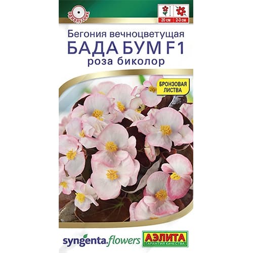 Бегония вечноцветущая Бада бум роза биколор F1 Аэлита изображение 1 артикул 40301