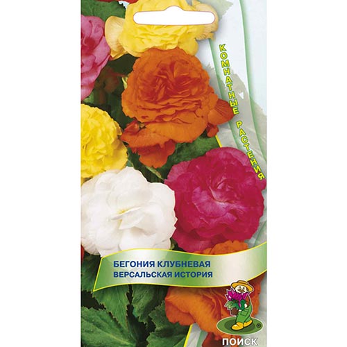 Бегония Версальская история, смесь окрасок изображение 1 артикул 92910