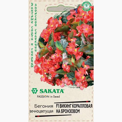 Бегония Викинг коралловая на бронзовом F1 Гавриш изображение 1 артикул 97616