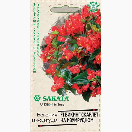 Бегония Викинг Скарлет на изумрудном F1 Гавриш изображение 1 артикул 97619