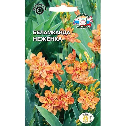 Беламканда китайская Неженка, семена артикул фото 1 Беламканда китайская Неженка, семена изображение 1 артикул 93679