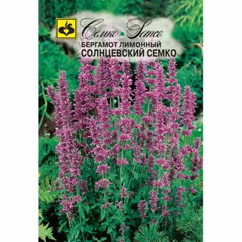 Бергамот лимонный Солнцевский Семко артикул фото 1 Бергамот лимонный Солнцевский Семко изображение 1 артикул 84944