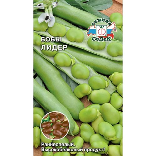 Бобы Лидер, семена изображение 1 артикул 93289