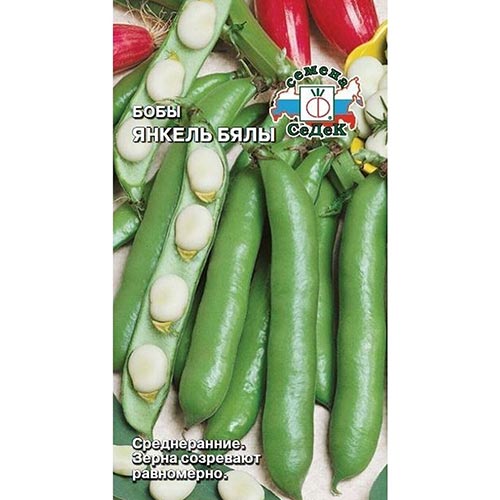 Бобы Янкель Бялы, семена изображение 1 артикул 93292
