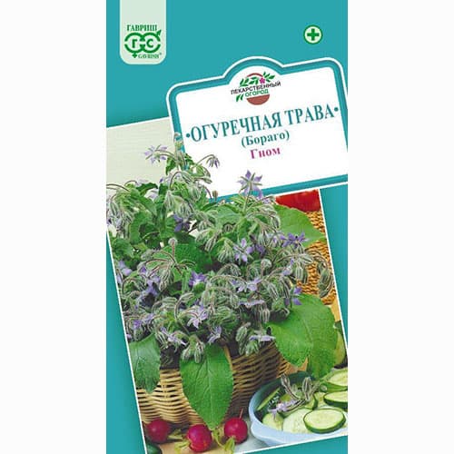 Бораго (огуречная трава) Гном Гавриш изображение 1 артикул 82240