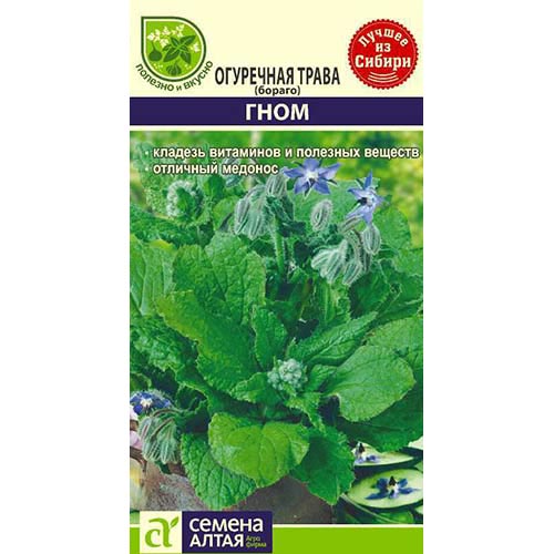 Бораго (огуречная трава) Гном Семена Алтая изображение 1 артикул 81537