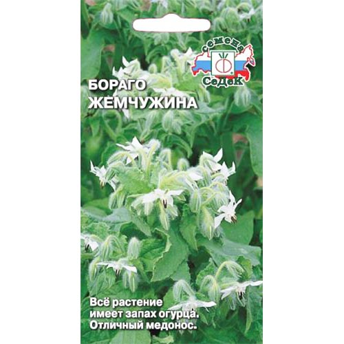 Бораго (огуречная трава) Жемчужина, семена артикул фото 1 Бораго (огуречная трава) Жемчужина, семена изображение 1 артикул 93293