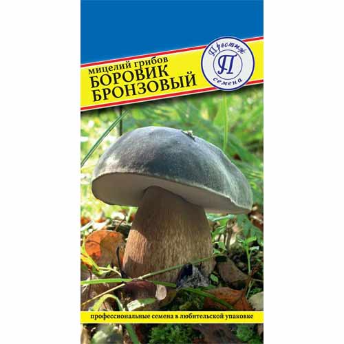 Боровик бронзовый изображение 1 артикул 40751