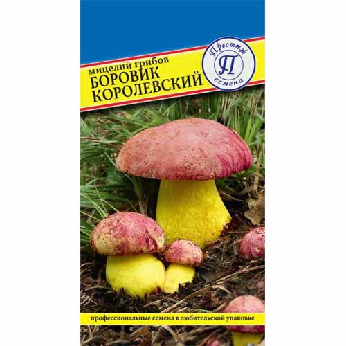Боровик королевский изображение 1 артикул 40752