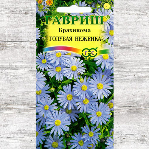 Брахикома Голубая неженка Гавриш изображение 1 артикул 73813