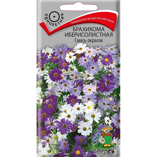 Брахикома иберисолистная, смесь окрасок изображение 1 артикул 92917