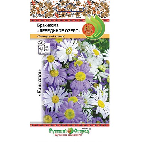 Брахикома Лебединое озеро, смесь окрасок изображение 1 артикул 92470