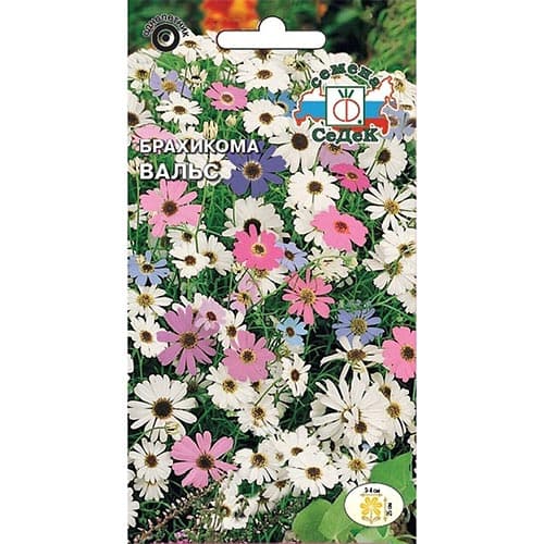 Брахикома Вальс, смесь окрасок изображение 1 артикул 93680