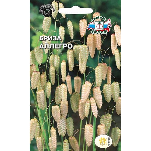 Бриза Аллегро, семена изображение 1 артикул 93681