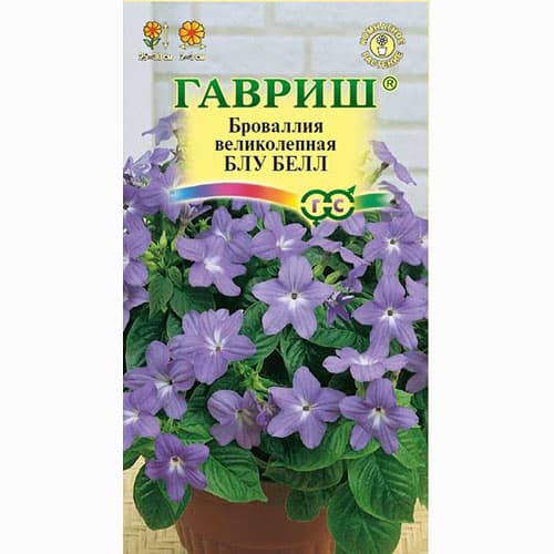 Броваллия великолепная Блу Белл Гавриш изображение 1 артикул 85582