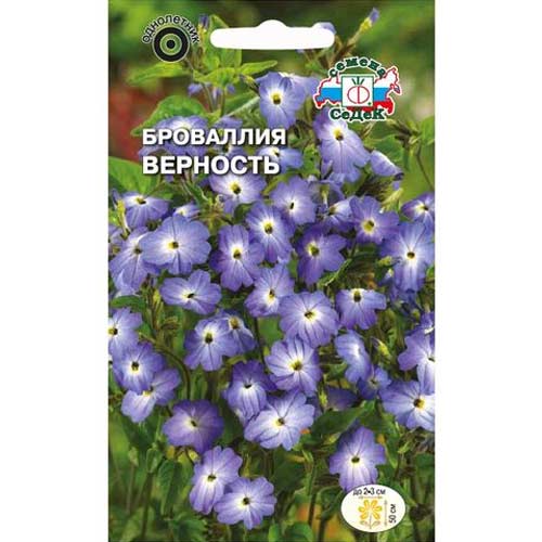 Броваллия Верность Седек изображение 1 артикул 85601