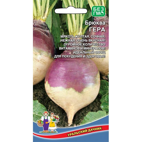 Брюква Гера, семена изображение 1 артикул 94478