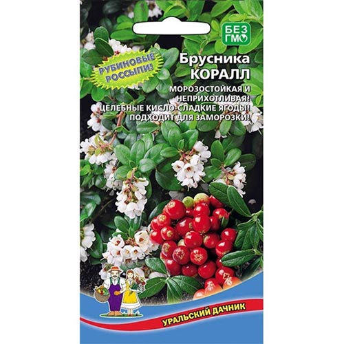 Брусника Коралл, семена артикул фото 1 Брусника Коралл, семена изображение 1 артикул 94476