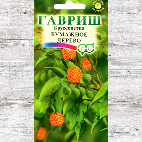 Бруссонетия Бумажное дерево Гавриш изображение 1 артикул 65943