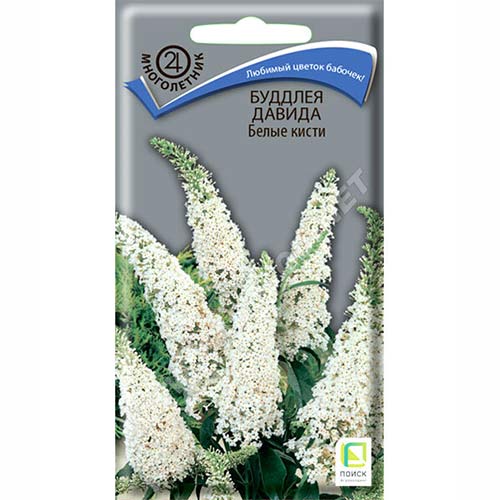 Буддлея Давида Белые кисти Поиск артикул фото 1 Буддлея Давида Белые кисти Поиск изображение 1 артикул 84979