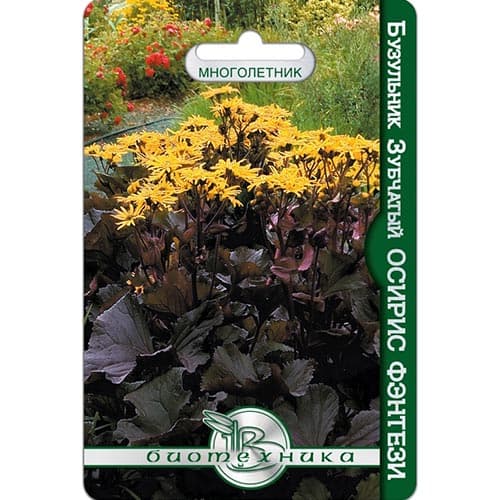 Бузульник Осирис Фэнтези, семена изображение 1 артикул 91575