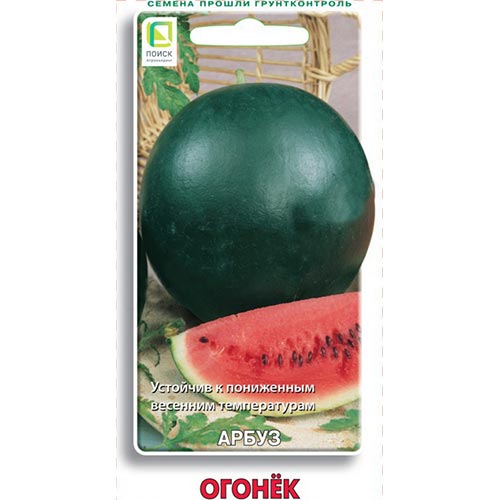 Арбуз Огонек Поиск изображение 1 артикул 81834